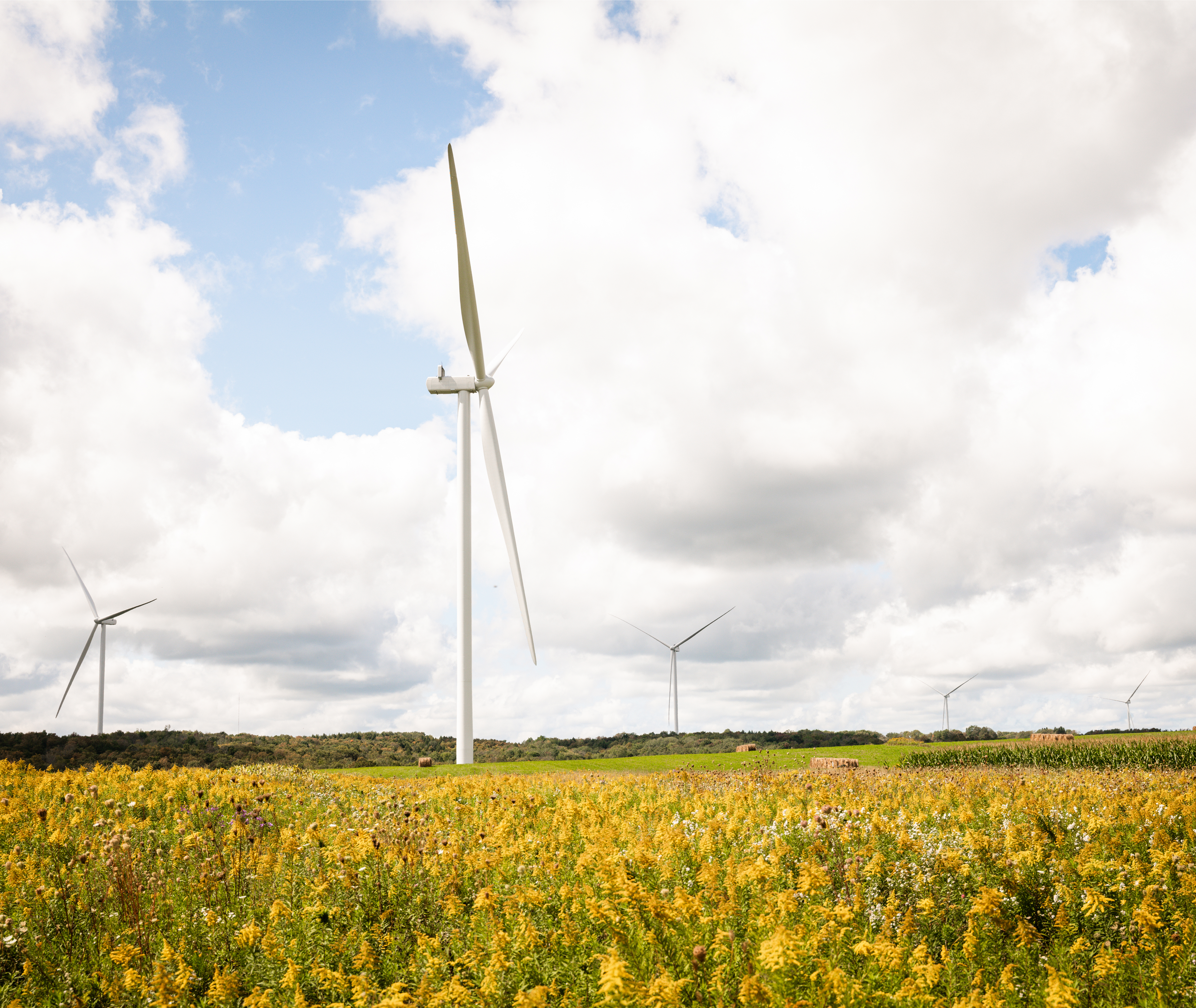 Ball-Hill-Turbine-Group-Field